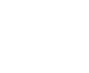 Dice Finalist logo